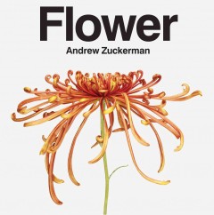 Flower  Cover Image